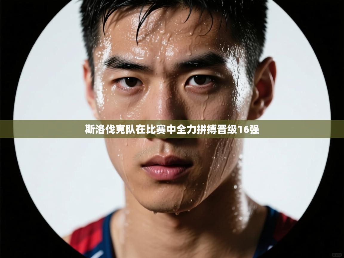 斯洛伐克队在比赛中全力拼搏晋级16强  第1张