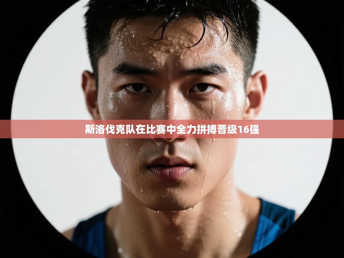 斯洛伐克队在比赛中全力拼搏晋级16强  第2张