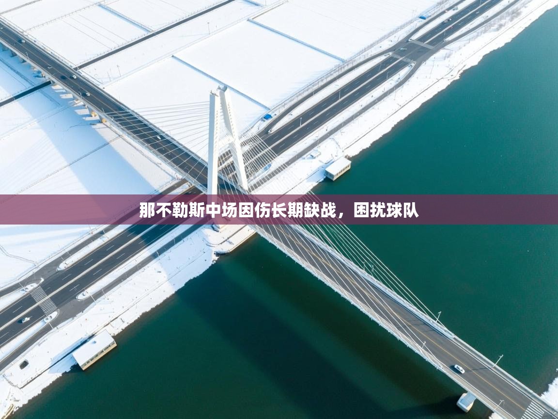 那不勒斯中场因伤长期缺战，困扰球队  第1张