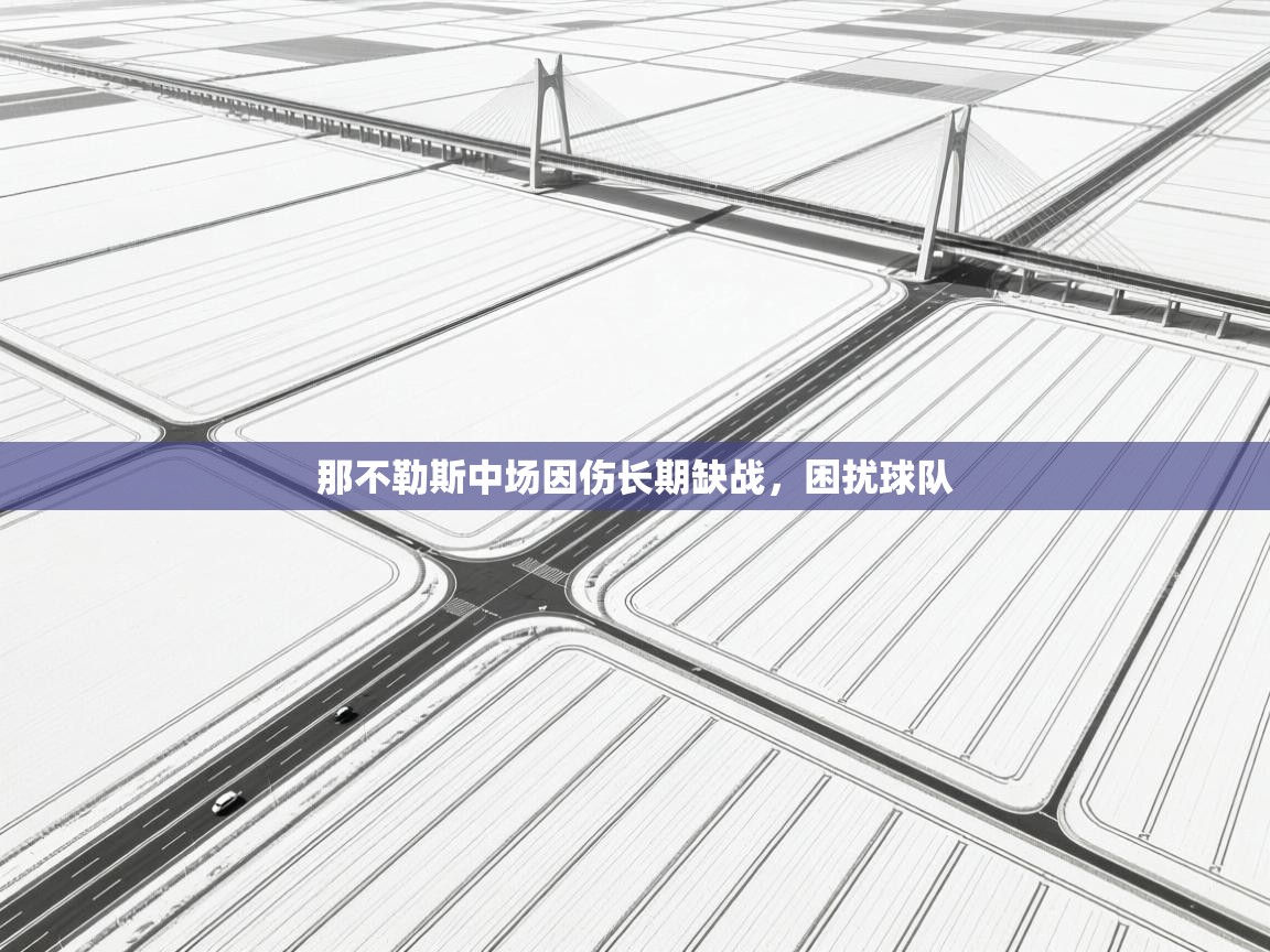 那不勒斯中场因伤长期缺战，困扰球队  第2张