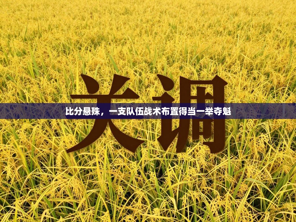 比分悬殊，一支队伍战术布置得当一举夺魁  第2张