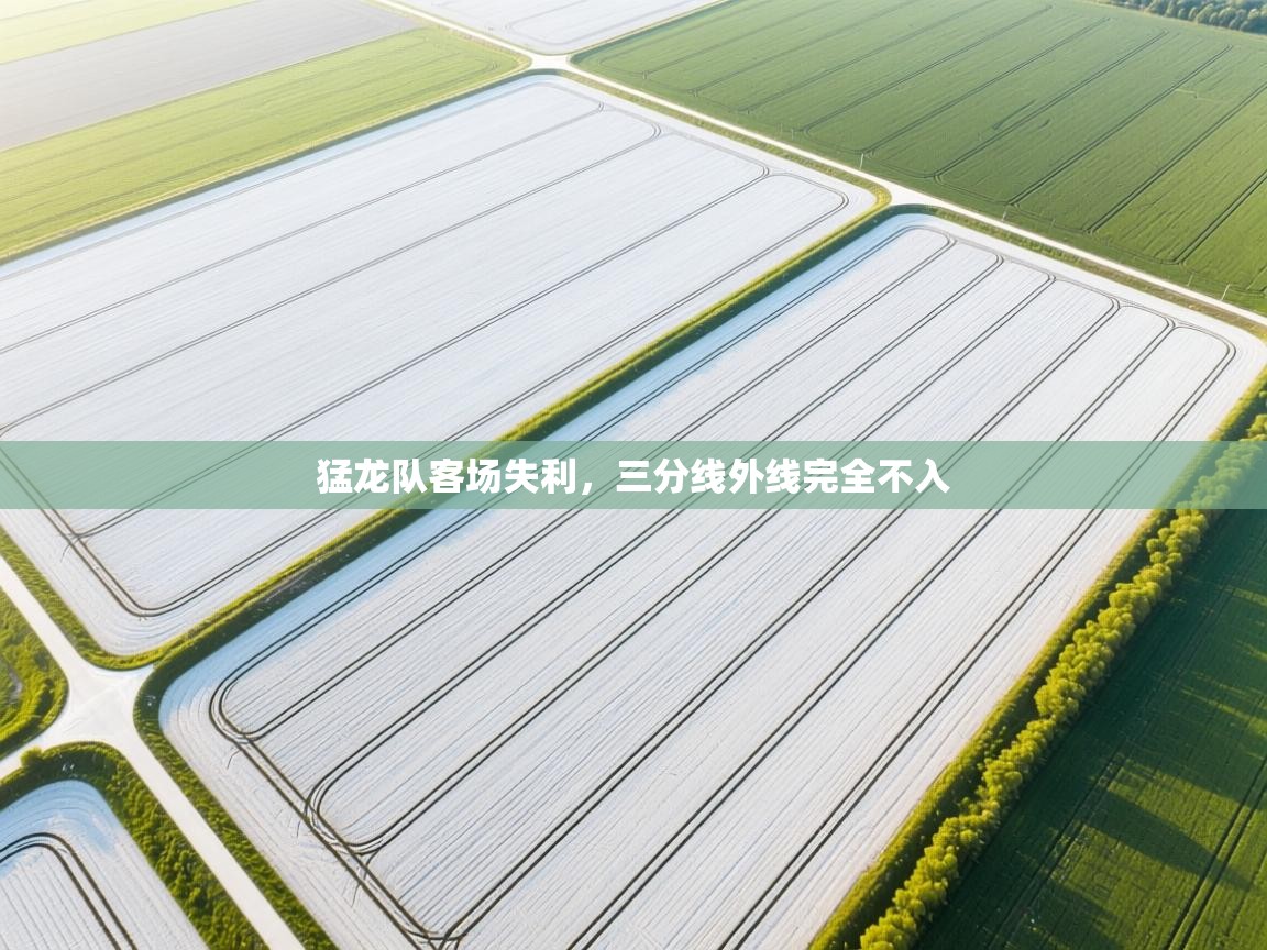 猛龙队客场失利，三分线外线完全不入  第1张