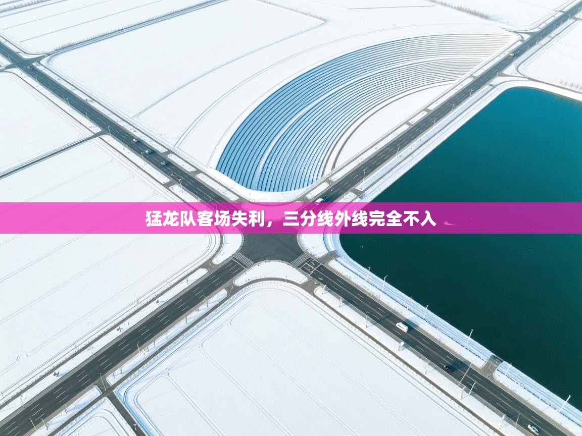 猛龙队客场失利，三分线外线完全不入  第2张