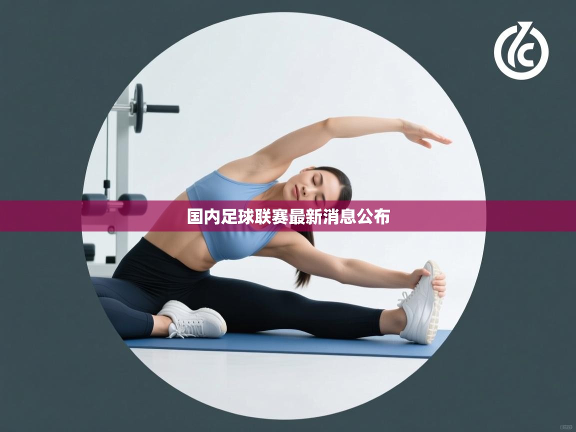 国内足球联赛最新消息公布